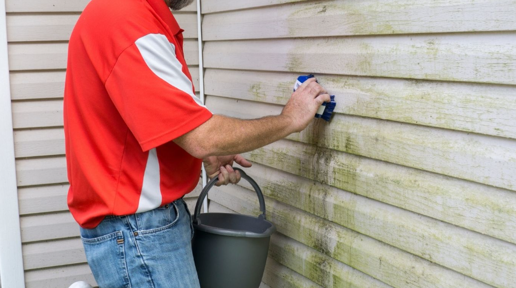 Quality Siding Contractors in Bay Area Deliver Great Results