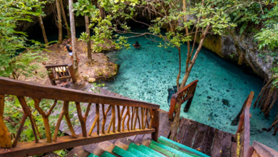 Top Tips for Visiting Riviera Maya’s Best Cenotes