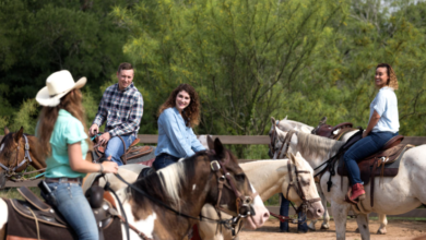 How to Plan the Perfect Weekend Trip to Bastrop, Louisiana