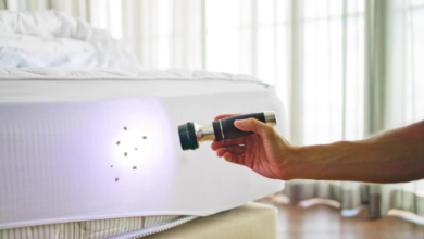 How to Inspect Your Hotel Room for Bedbugs