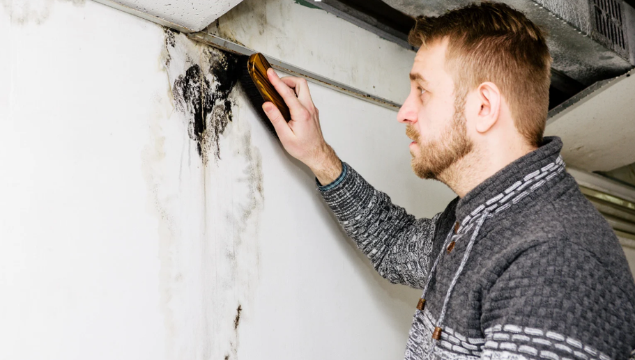 Preventing Mold in High-Risk Areas: Tips for Basements, Attics, and Crawl Spaces