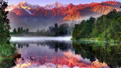 Exploring the Far Horizons: A Journey Through New Zealand in Comfort