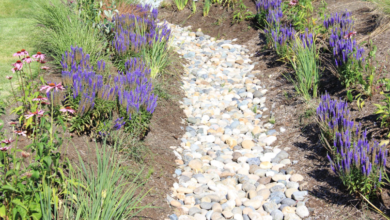 Why Poor Landscape Drainage Could Be Damaging Your Home's Foundation