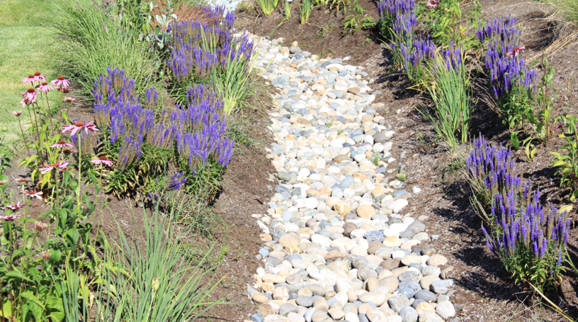 Why Poor Landscape Drainage Could Be Damaging Your Home's Foundation