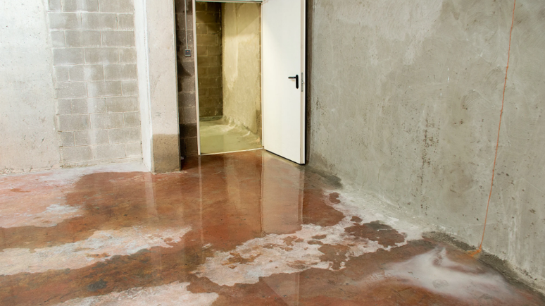 Signs You Need Basement Leak Repair and How to Address Them Early