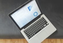 intelligence report on identifiers