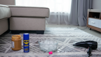 How to Remove Gum from Carpets Naturally