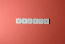 it network security professional