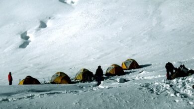 Annapurna Base Camp Trek vs Poon Hill Trek: A Complete Guide for Trekkers